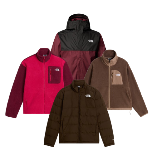 POLAIRES & VESTES THE NORTH FACE